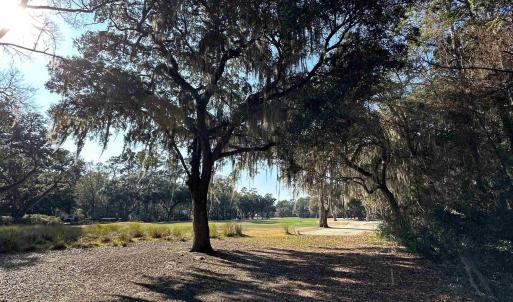 Photo #5 of Lot 173 Sanderling Ave., Georgetown, SC 0.5 acres