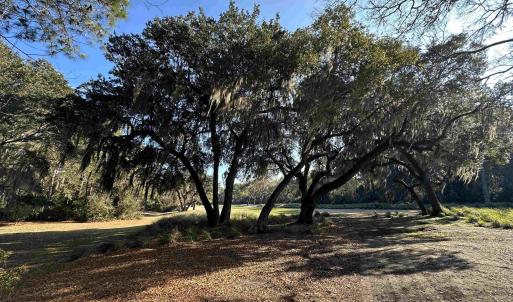 Photo #4 of Lot 173 Sanderling Ave., Georgetown, SC 0.5 acres
