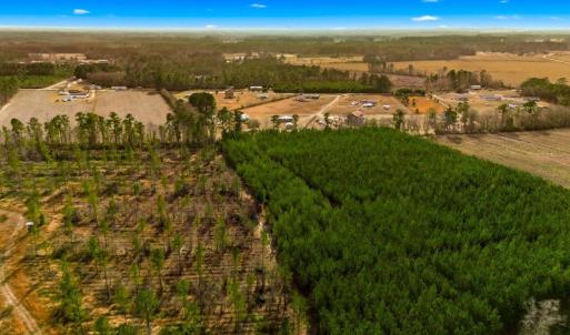 Photo #2 of Acreage Highway 45, Loris, SC 127.0 acres