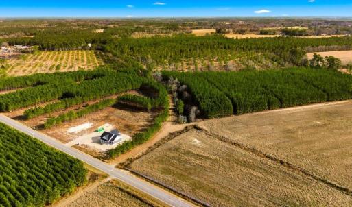 Photo #7 of Acreage Highway 45, Loris, SC 127.0 acres