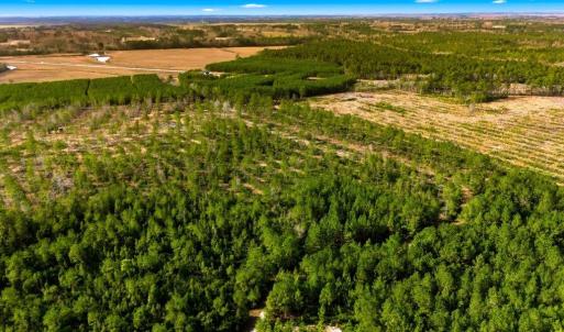 Photo #17 of Acreage Highway 45, Loris, SC 127.0 acres