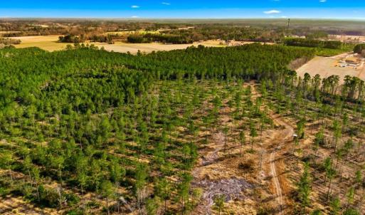 Photo #3 of Acreage Highway 45, Loris, SC 127.0 acres