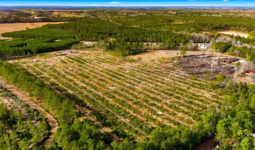 Photo #18 of Acreage Highway 45, Loris, SC 127.0 acres