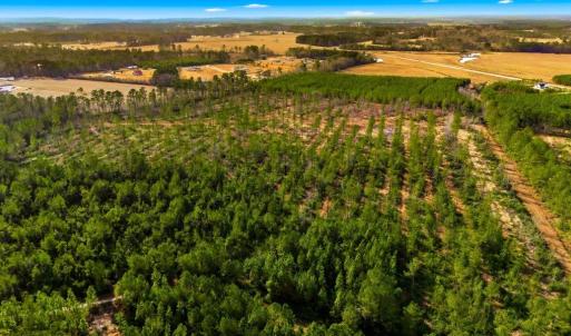 Photo #17 of Acreage Highway 45, Loris, SC 127.0 acres