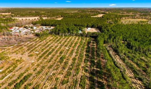 Photo #3 of Acreage Highway 45, Loris, SC 127.0 acres