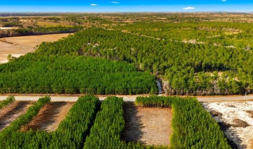 Photo #5 of Acreage Highway 45, Loris, SC 127.0 acres