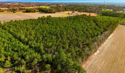Photo #11 of Acreage Highway 45, Loris, SC 127.0 acres