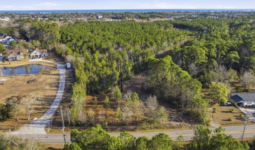Drone / aerial view of a forest