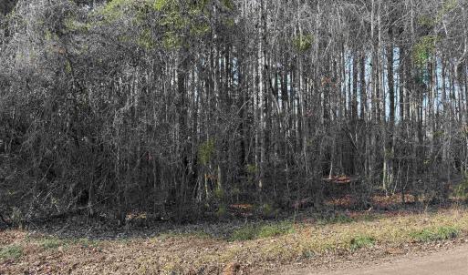 Photo #2 of Lt 4 Rolling River Rd., Longs, SC 0.7 acres