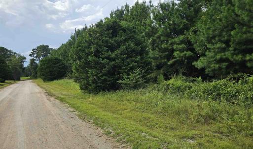 View of dirt / gravel road featuring a view of tre