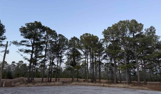 Photo #1 of TBD Belland Ct., Loris, SC 1.3 acres