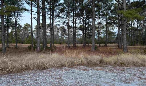 Photo #3 of TBD Belland Ct., Loris, SC 1.3 acres