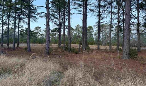 Photo #5 of TBD Belland Ct., Loris, SC 1.3 acres