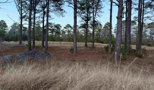 Photo #4 of TBD Belland Ct., Loris, SC 1.3 acres