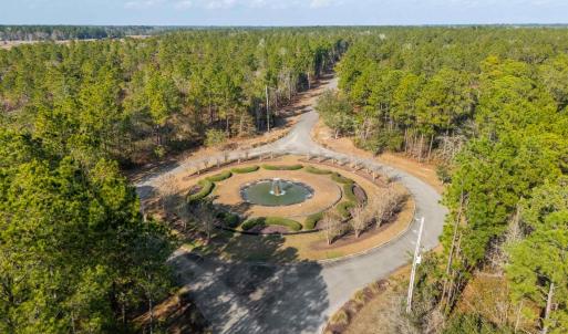 Bird's eye view of a forest