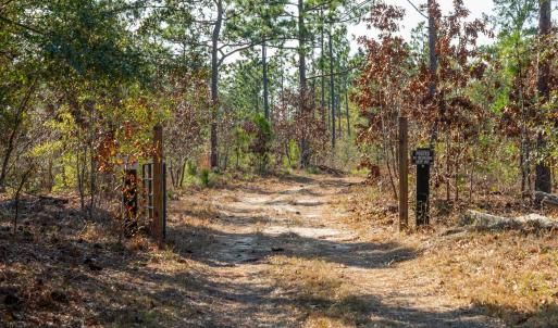 View of dirt / gravel road with a view of trees