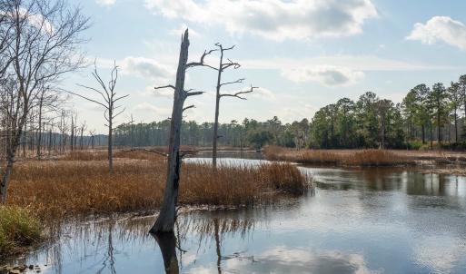 Water view featuring a forest