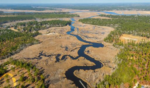View of property location featuring a forest