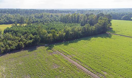 Photo #16 of TBD 37 Acres Highway 9 W, Nichols, SC 37.0 acres
