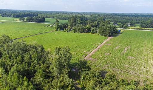 Photo #14 of TBD 37 Acres Highway 9 W, Nichols, SC 37.0 acres