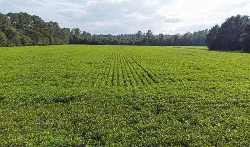 View of grassy yard with a view of rural / pastora