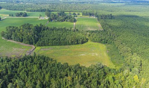 Photo #9 of TBD 37 Acres Highway 9 W, Nichols, SC 37.0 acres