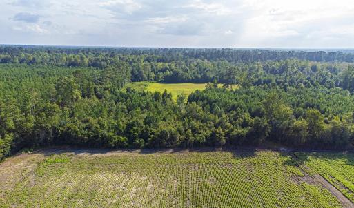 Photo #17 of TBD 37 Acres Highway 9 W, Nichols, SC 37.0 acres