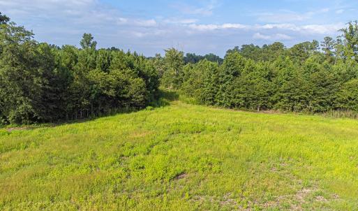 Drone / aerial view of a forest