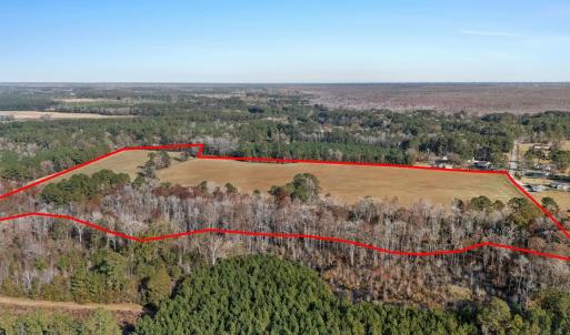 View of property location with a heavily wooded ar