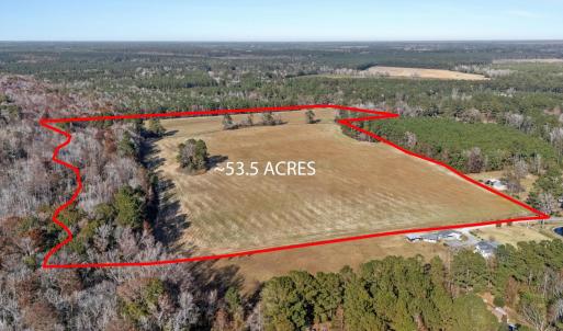 Overview of rural landscape featuring a forest and