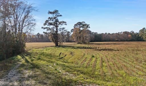 View of yard featuring a view of countryside and a