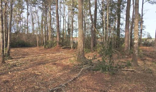 View of undeveloped land