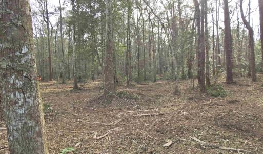 Photo #12 of 301 Bella Rd., Myrtle Beach, SC 7.4 acres
