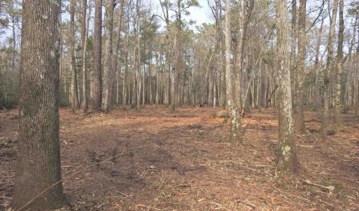 Photo #6 of 301 Bella Rd., Myrtle Beach, SC 7.4 acres