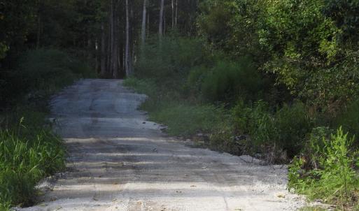 Photo #23 of 301 Bella Rd., Myrtle Beach, SC 7.4 acres