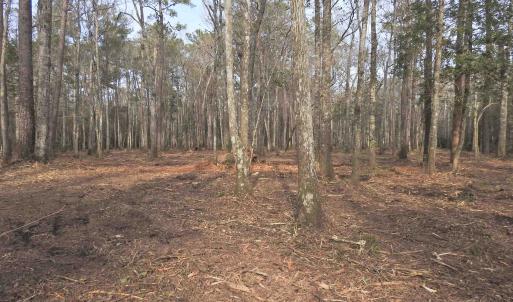 Photo #4 of 301 Bella Rd., Myrtle Beach, SC 7.4 acres