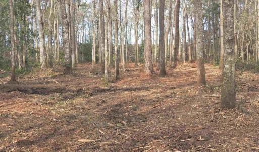 Photo #18 of 301 Bella Rd., Myrtle Beach, SC 7.4 acres