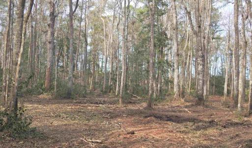 Photo #16 of 301 Bella Rd., Myrtle Beach, SC 7.4 acres