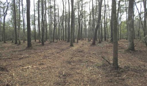 Photo #10 of 301 Bella Rd., Myrtle Beach, SC 7.4 acres
