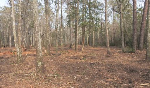 Photo #7 of 301 Bella Rd., Myrtle Beach, SC 7.4 acres