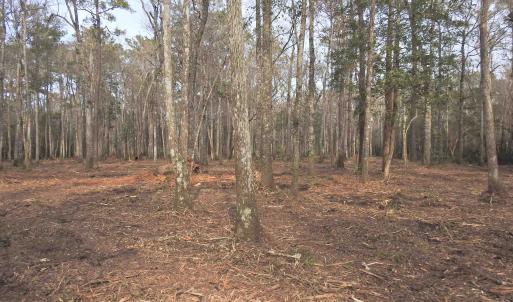 Photo #5 of 301 Bella Rd., Myrtle Beach, SC 7.4 acres