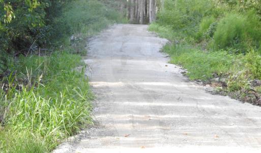 Photo #22 of 301 Bella Rd., Myrtle Beach, SC 7.4 acres