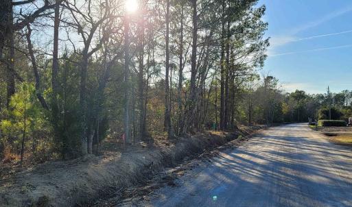 Photo #1 of TBD 2 Auburn Dr., Loris, SC 3.4 acres