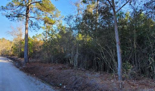 Photo #3 of TBD 2 Auburn Dr., Loris, SC 3.4 acres