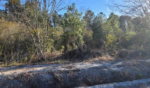 Photo #5 of TBD Log Cabin Rd., Loris, SC 13.7 acres