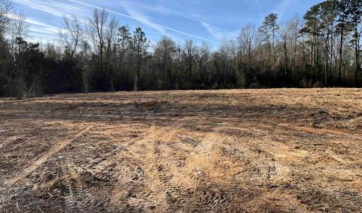 View of undeveloped land