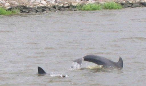 Photo #15 of Slip 40 Friendfield Marina, Georgetown, SC 0.2 acres