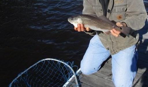 Photo #16 of Slip 40 Friendfield Marina, Georgetown, SC 0.2 acres