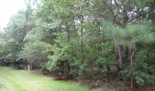 Photo #4 of Slip 40 Friendfield Marina, Georgetown, SC 0.2 acres