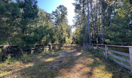 Photo #3 of TBD Highway 701 South, Georgetown, SC 58.0 acres